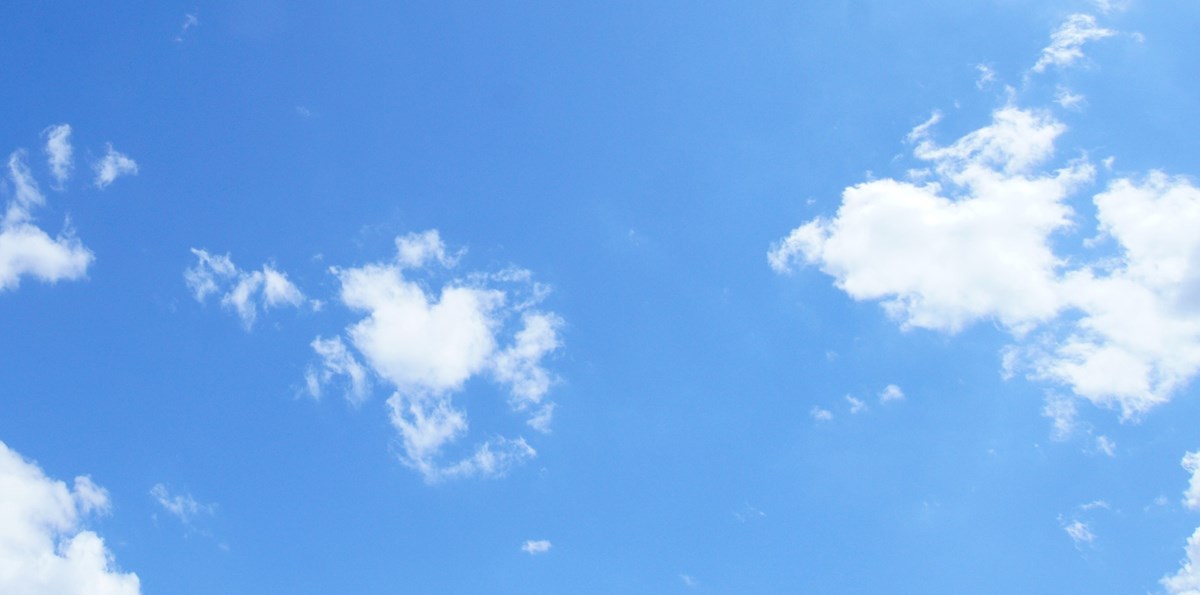 A hand holding a can of Bush’s Best Original Baked beans against a blue sky with white clouds