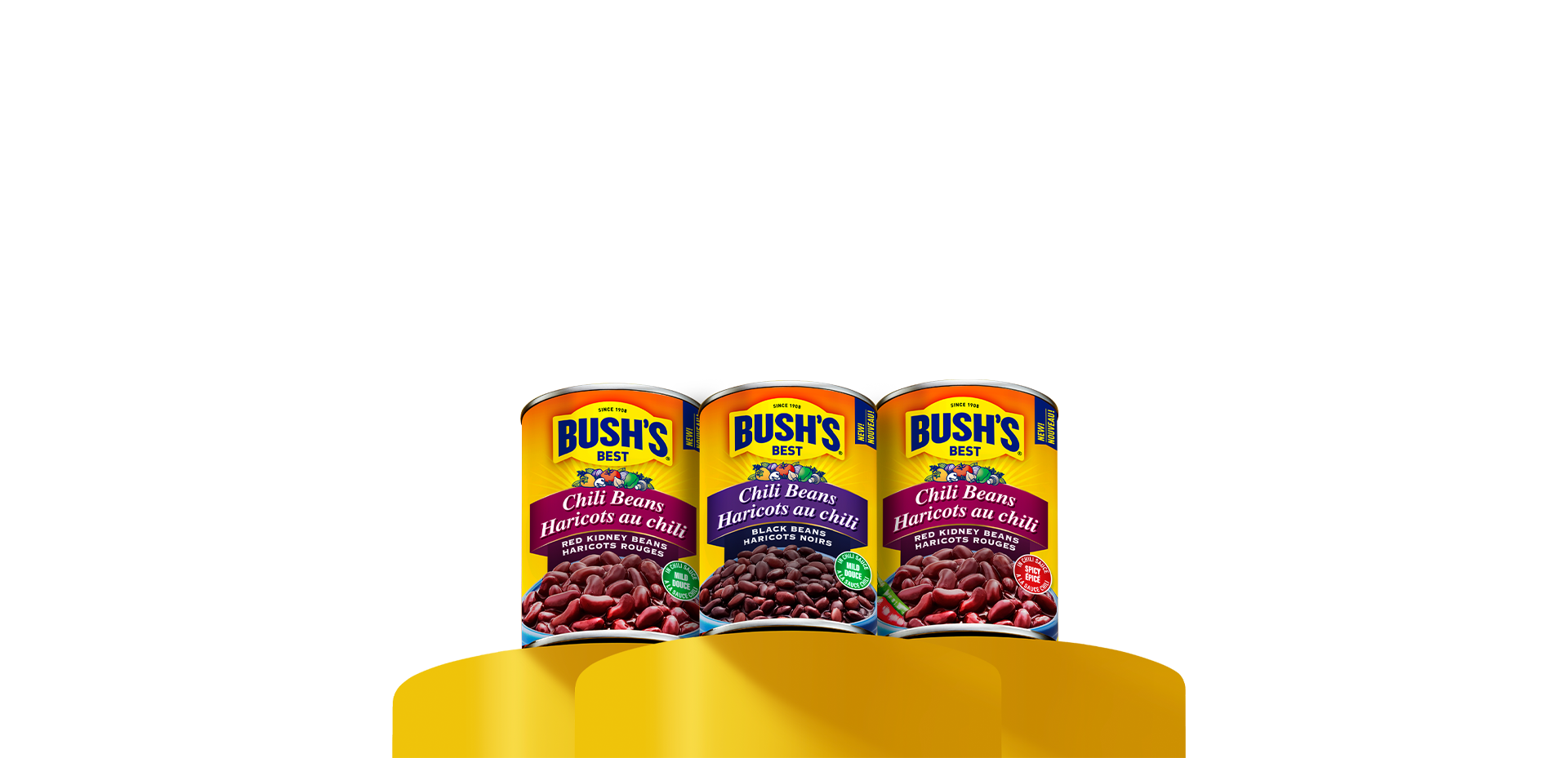 Chili Beans BUSH’S® Beans